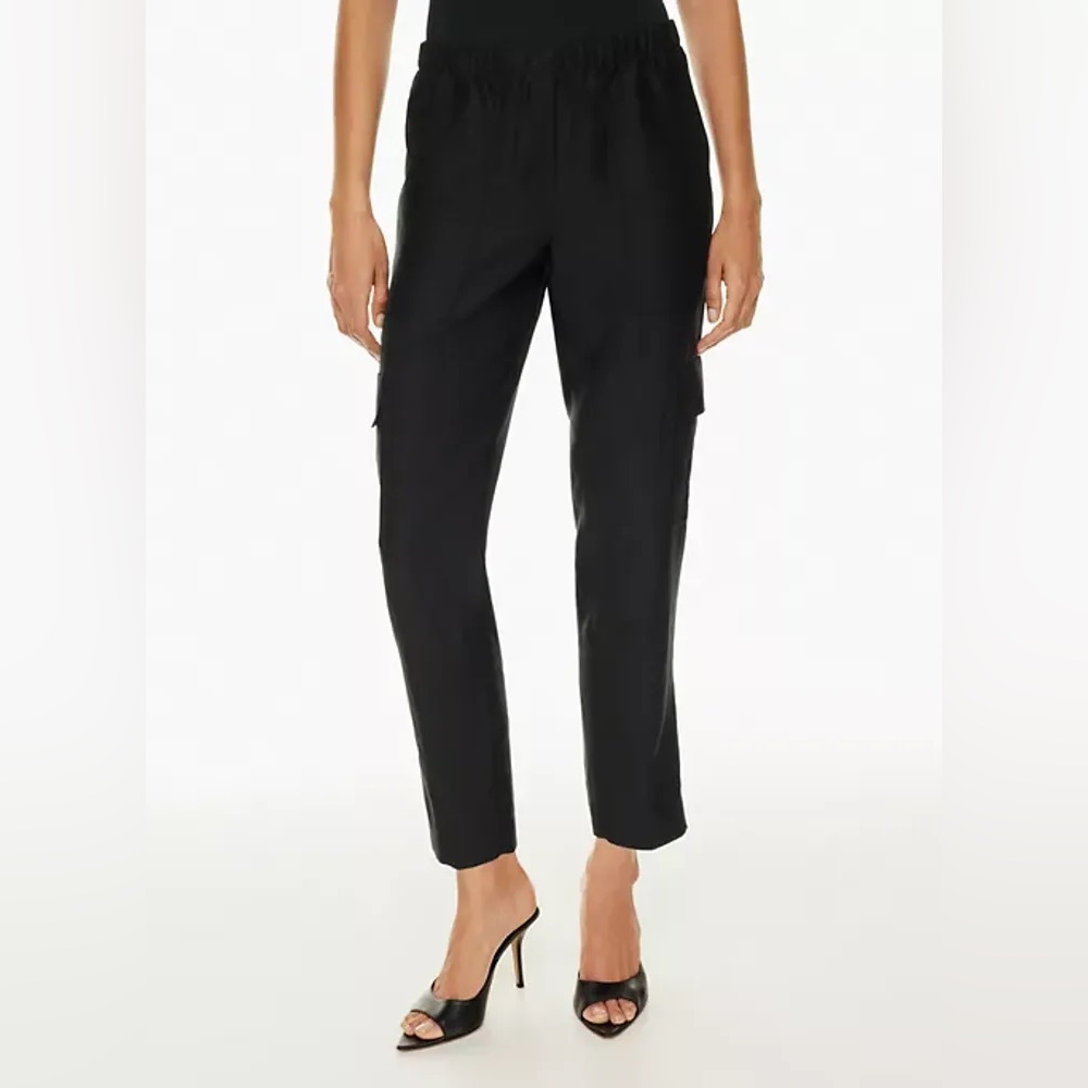 Aritzia Babaton Titan cargo pants